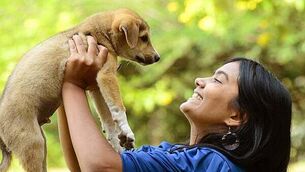 What the papers say: Tuesday's front pages