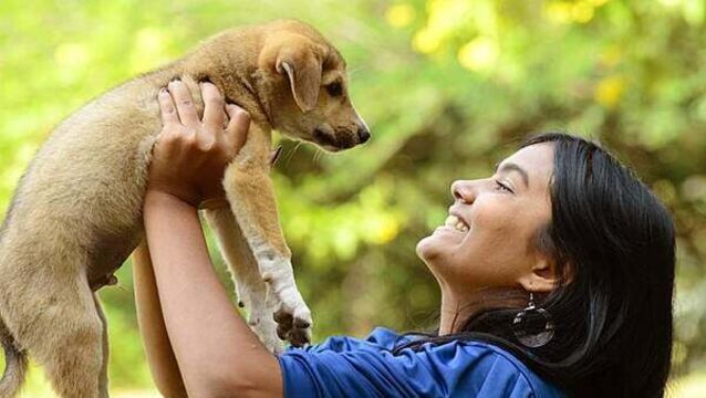 Pet owners turning to cameras and trackers as fear of dog theft grows