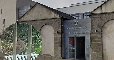 Courts Service steps up measures to keep rats out of Limerick Criminal Courts