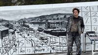 Portuguese street artist brings new life to the Walls of Waterford with Ferrybank murals