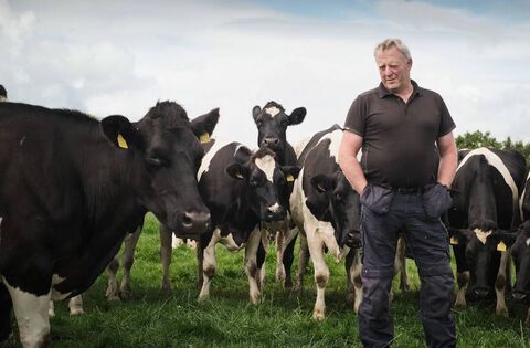Farming: ICMSA query amount of beef imported into Ireland