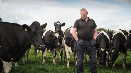 Farming: ICMSA query amount of beef imported into Ireland