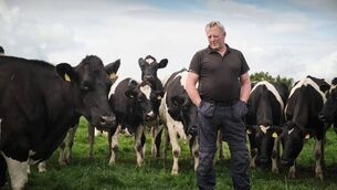 <p>Michael O'Connell, Chair of ICMSA Livestock Committee.</p>
