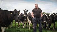 Farming: ICMSA query amount of beef imported into Ireland