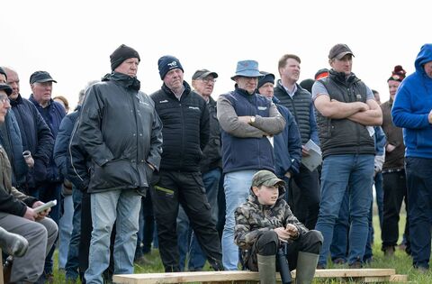 Farming: Carcass weights on increase for cattle at Newford