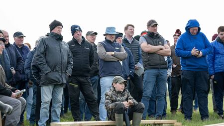 Farming: Carcass weights on increase for cattle at Newford