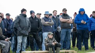 <p>Farmers gather at the Newford Suckler Demonstration Farm open day.</p>