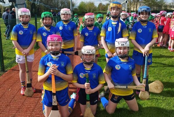 Some of the underage Portlaw camogie players
