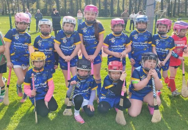Some of the Portlaw U8 camogie players