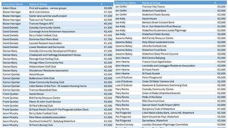 Which charities did Waterford councillors choose to use public money to support?