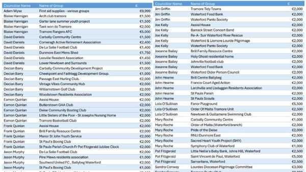 Which charities did Waterford councillors choose to use public money to support?