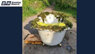 Michael Flatley to find out how much he will have to pay upfront for security costs