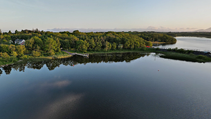 Irish People Party election candidate charged with harassing a garda