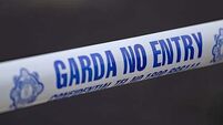 Man (80s) dies after being hit by car in Longford