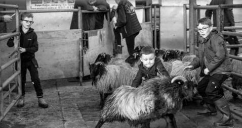 Press photographer awards exhibition on its way to Waterford