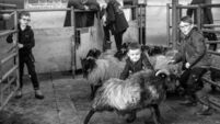 Press photographer awards exhibition on its way to Waterford