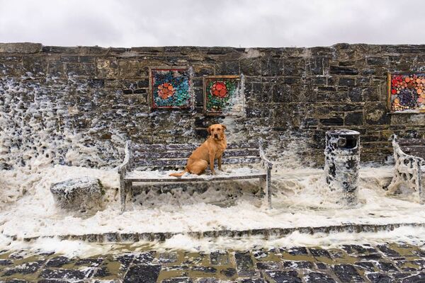 'Pause' by AIB Press Photographer of the Year, Mark Condron, is one of the featured images.