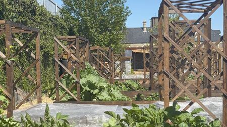 Top of the City garden wants you to know it exists