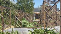 Top of the City garden wants you to know it exists 