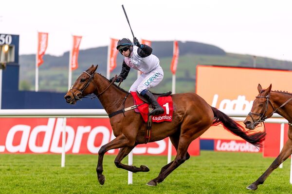 Darragh O’Keeffe on Bob Ollinger celebrates winning The Ladbrokes Champion Stayers Hurdle (Grade 1)