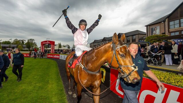 Brilliant Bob bows out with super Punchestown Stayers Hurdle glory 