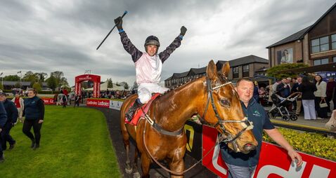 Brilliant Bob bows out with super Punchestown Stayers Hurdle glory 