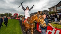 Brilliant Bob bows out with super Punchestown Stayers Hurdle glory 