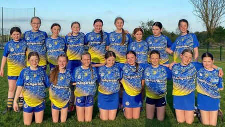 Local Notes: Film shot in Portlaw now screening, parish news, soccer, GAA and camogie news