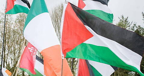Irish flotilla participants taken by Israeli authorities released