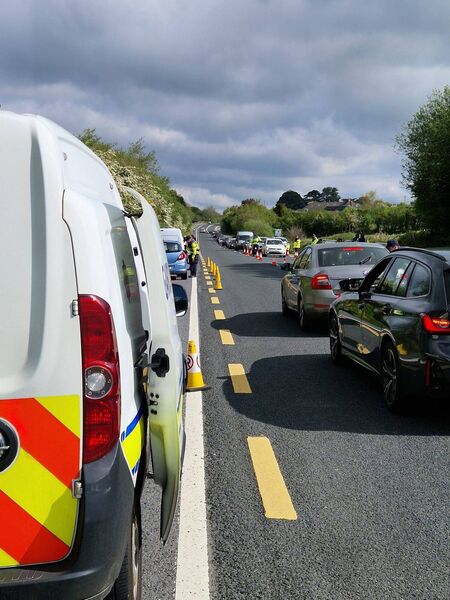 Pictured in county Waterford today