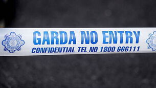 Attacks on gardaí becoming 'far too common' - Garda Representative Association