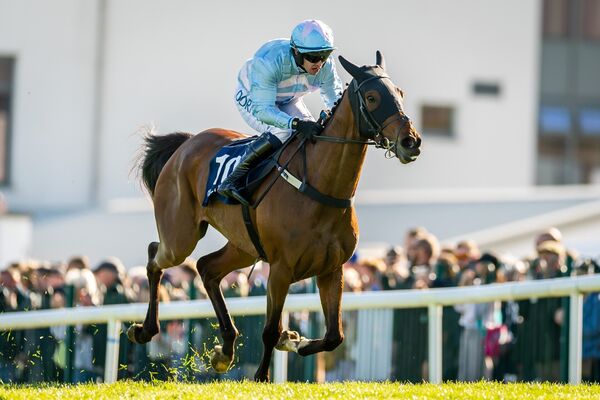 Darragh O’Keeffe on Nouvotic wins The Colm Quinn BMW Handicap Steeplechase (Grade 3) for trainer Henry de Bromhead.