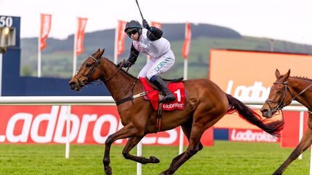 Super treble for Team Knockeen at Peerless Punchestown