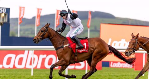 Super treble for Team Knockeen at Peerless Punchestown