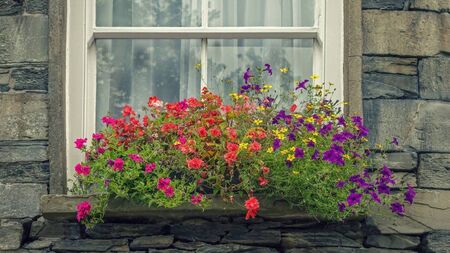 Green Fingers: We need flowers and lots of them