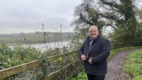 Waterford Council set to apply for funding to extend riverside walk in city suburbs 