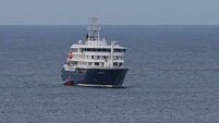 Authorities working to return Irish citizens from virus-hit cruise ship – Martin