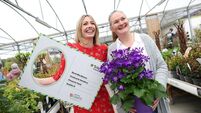 Waterford pottery group set to showcase talents at Bloom festival 