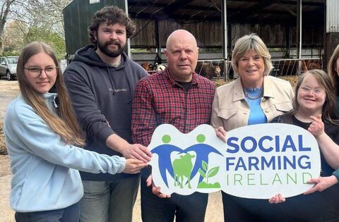 Social Farming Ireland celebrates 20 years of innovation and 10 years of national funding