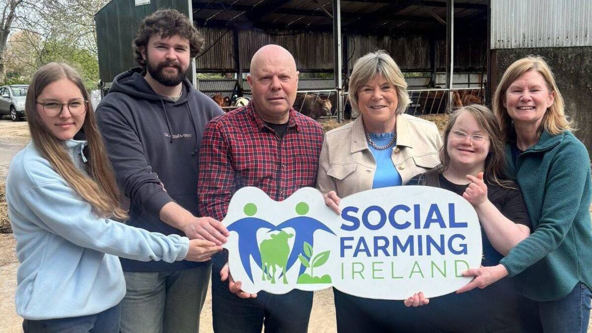Social Farming Ireland celebrates 20 years of innovation and 10 years of national funding