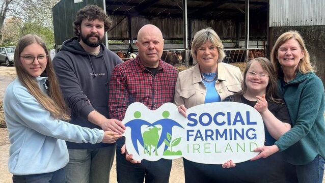 Social Farming Ireland celebrates 20 years of innovation and 10 years of national funding 