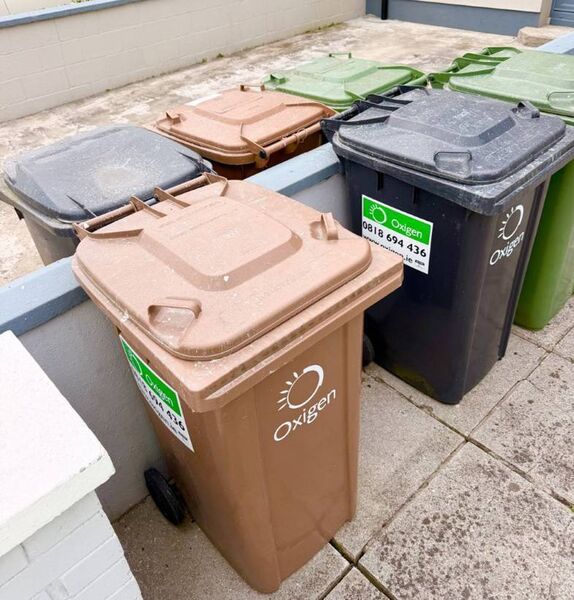 Bin tops covered in debris Bin tops covered in debris