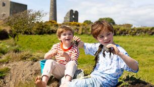 <p>Pictured at the UNESCO Global Geopark on the Copper Coast in Waterford, ‘Finding their Wild’ are brothers Jeff Cowman (4) and Hugh Cowman (7). Photo: Patrick Browne </p>