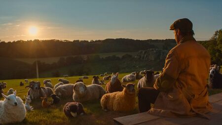 At The Movies with James Phelan: The Sheep Detectives