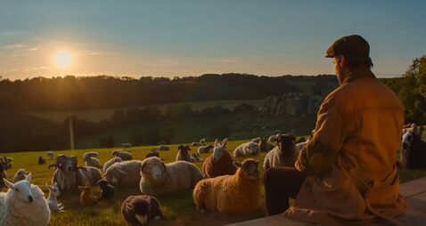 At The Movies with James Phelan: The Sheep Detectives 