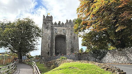 Planning refused for Co Clare homes over impact on Bunratty Castle
