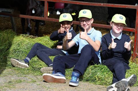 Farming: More than half of children have never seen a cow being milked