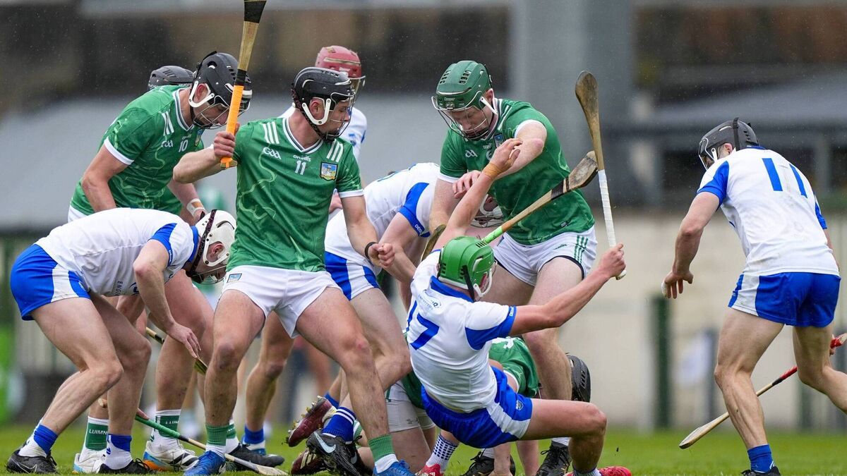 Queally should lead Waterford bravehearts into 2027 despite Munster exit