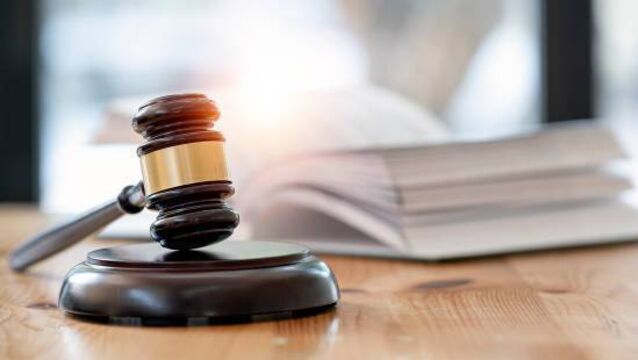 <p>Judge Pauline Codd said Lorna Reid's defence was "rather bizzare".</p>