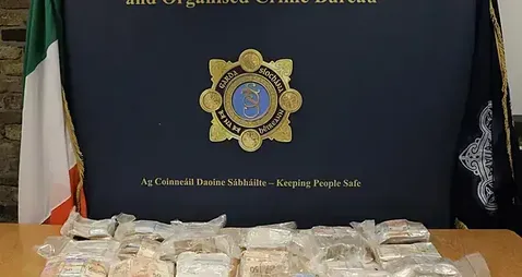 Logistics boss jailed after €1.2m cash haul intercepted on M7